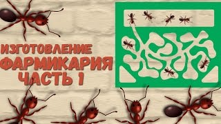 Как сделать формикарий своими руками? 1- часть