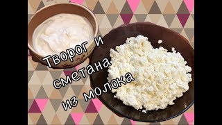 Как приготовить творог и сметану из домашнего молока🐄 /простой рецепт