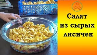 Салат из сырых лисичек. Многолетний опыт.