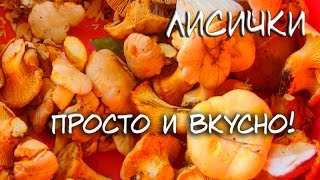 Вкусный и простой рецепт приготовления лисичек