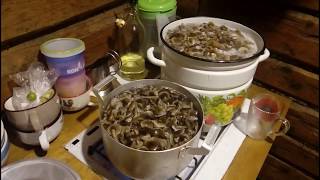 Маринованные опята. Заготовки на зиму. часть 1 / Marinated mushrooms in the winter