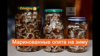 Маринованные опята рецепт на зиму