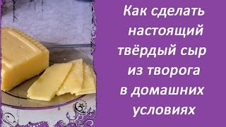 Как сделать настоящий твёрдый сыр из творога в домашних условиях, быстрый, простой и дешёвый рецепт