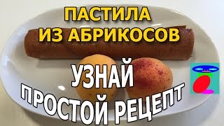 Домашняя пастила из абрикос. Пастила в сушилке.