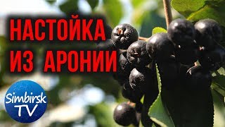 Как сделать настойку из черноплодной рябины. #SimbirskTV