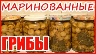 ГРИБЫ МАРИНОВАННЫЕ!!! Рецепт на зиму!