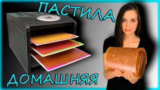 Веган RAW вкусняшка / ДОМАШНЯЯ ПАСТИЛА в дегидраторе (духовке)