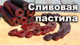 Сливовая пастила (сыроедческая, без сахара, без термообработки)