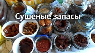 Пастила, чипсы, сухофрукты на зиму своими руками. Сушилка для овощей и фруктов Волтера - 1000