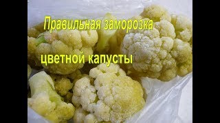 Заморозка овощей. ЦВЕТНАЯ КАПУСТА ЗАГОТОВКА НА ЗИМУ Как заморозить цветную капусту