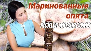 Маринованные опята - самые вкусные опята! / Vinegar pickled honey fungus recipe ♡ English subtitles