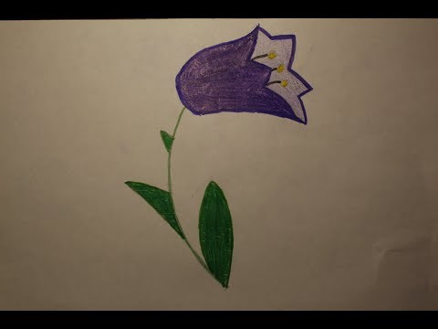 Учимся рисовать цветок колокольчик.