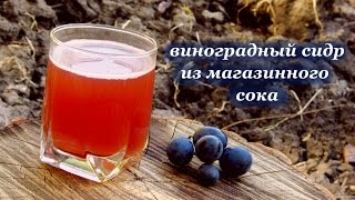 Виноградный сидр из магазинного сока