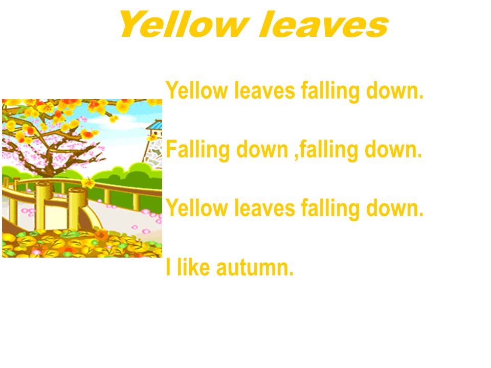 Yellow leaves Yellow leaves falling down. Falling down,falling down.