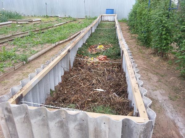 Наполнение теплой грядки. Фото с сайта sadovodu.com