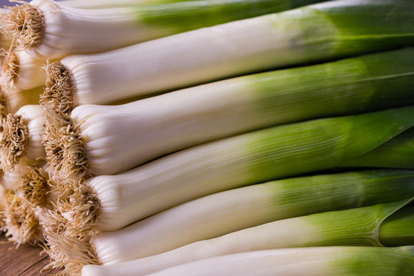 Эти растения приготовлены для хранения, они одинакового размера.