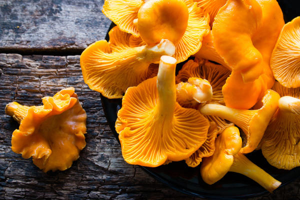 И зимой будут как свежие