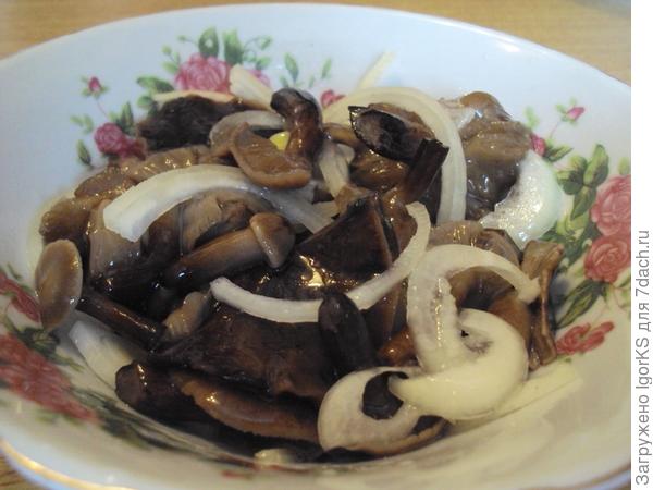 Можно и не ждать зимы