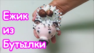 Очаровательный Ежик из Пластиковой Бутылки