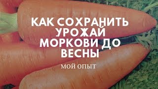 Как хранить морковь до весны.