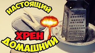 Как сделать хрен в домашних условиях. Рецепт приготовления хрена без уксуса..