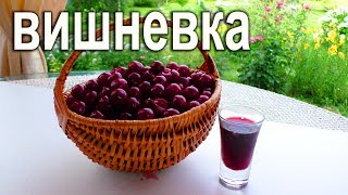 Вишневая наливка. Настойка из вишни. Как сделать наливку .