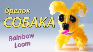 СОБАКА (щенок) из Rainbow Loom Bands. Урок 98