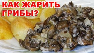 Как жарить грибы со сметаной и с луком. Вкусное и простое блюдо за считанные минуты. ВКУСНЫЕ БЛЮДА