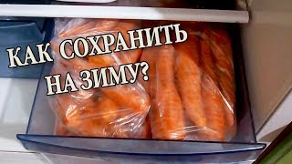 Морковь Как сохранить на зиму в домашних условиях