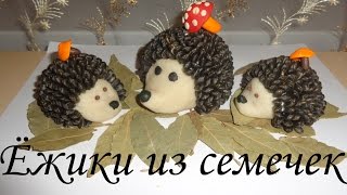 Ёжики из семечек! Поделки для детей!