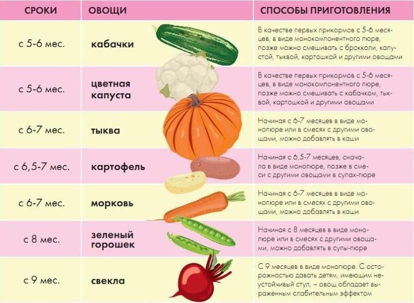 Как вводить овощи в прикорм