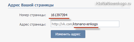 Как узнать id или короткий адрес своей страницы в ВК