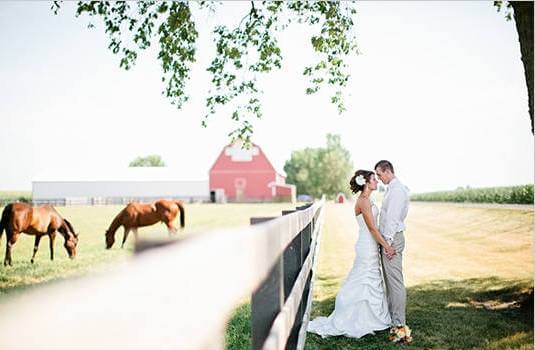 свадьба на территории фермы