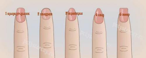 Цвет ногтей о чем говорит о женщине. Форма ногтей