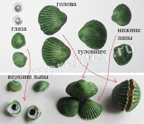 поделки из ракушек своими руками мастер класс