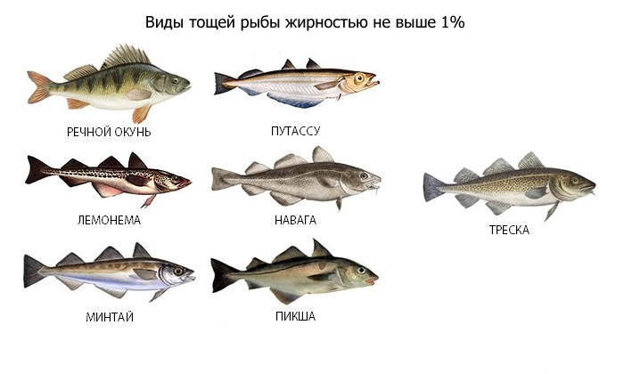 При панкреатите разрешены только нежирные виды рыб, поэтому уха из пикши, минтая, хека, воблы или щуки станет подходящим блюдом в период ремиссии заболевания