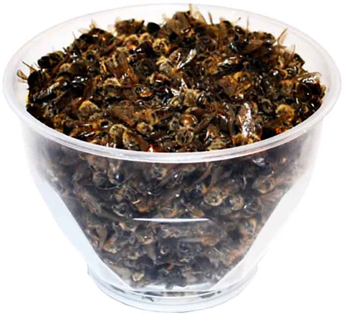 Пчелиный подмор похудение