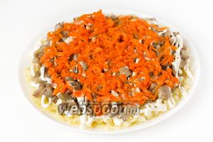 Отваренную морковь (оставшуюся её часть после вырезания «цветов») натираем на крупной тёрке и выкладываем поверх грибного слоя.