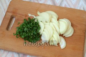 Репчатый лук нарезать полукольцами.Петрушку мелко нарезать.