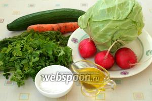 Салат из ранней капусты с огурцом и морковью