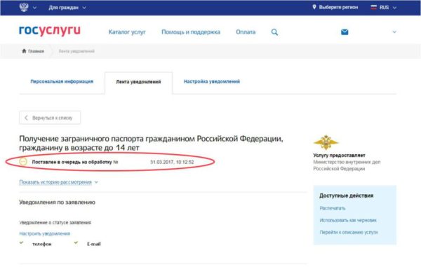 Ваша анкета-заявление попадает на обработку в соответствующие подразделения РФ, а вам остается отслеживать оповещения по электронной почте и на портале