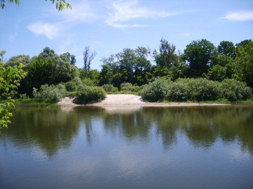 р. Хопёр вблизи с.Колычево, Саратовская обл., Турковский Район