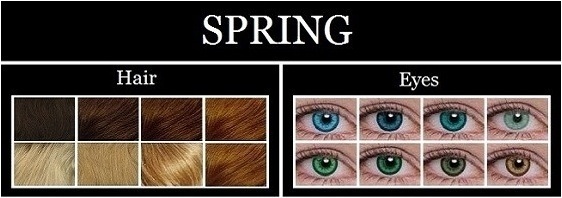 spring type characteristics
