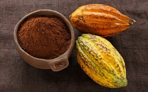 Какао бобы для изготовления масла