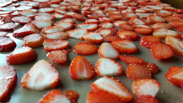 Сушка ягод в духовке