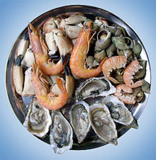 Какие морепродукты человек употребляет в пищу, какие блюда можно приготовить. Что приготовить из морепродуктов?