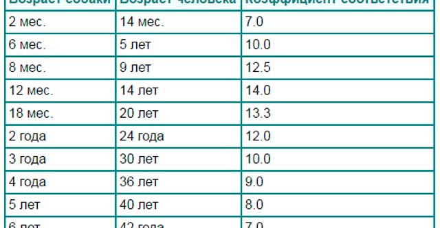 Таблицы соответствия возраста собак и кошек